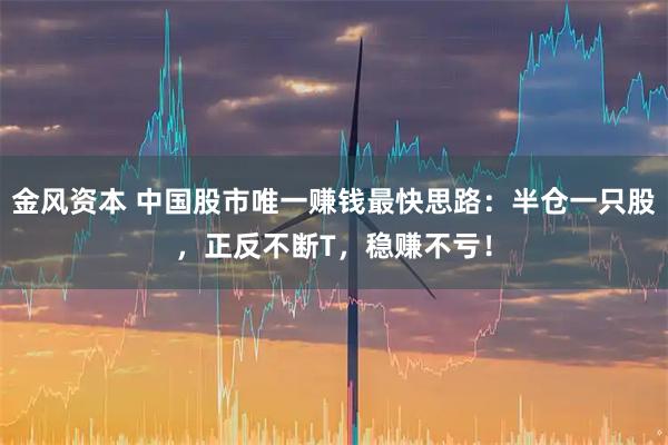 金风资本 中国股市唯一赚钱最快思路:半仓一只股,正反不断T,稳赚不亏!