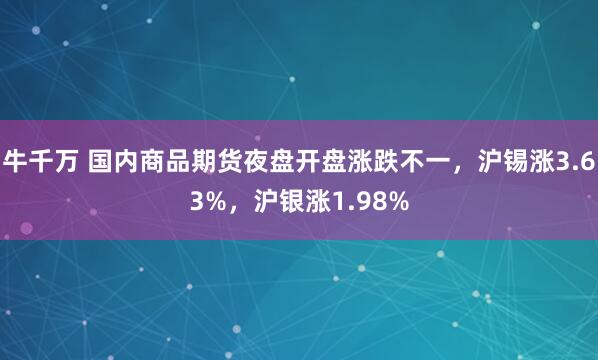 牛千万 国内商品期货夜盘开盘涨跌不一，沪锡涨3.63%，沪银涨1.98%