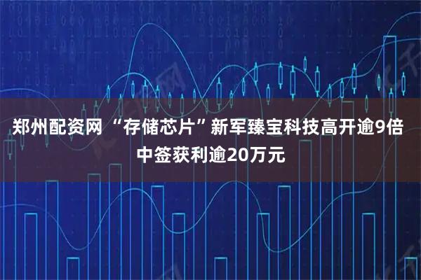 郑州配资网 “存储芯片”新军臻宝科技高开逾9倍 中签获利逾20万元