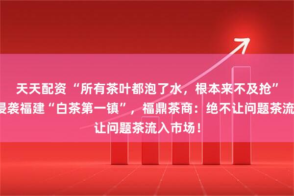 天天配资 “所有茶叶都泡了水，根本来不及抢”，洪水侵袭福建“白茶第一镇”，福鼎茶商：绝不让问题茶流入市场！